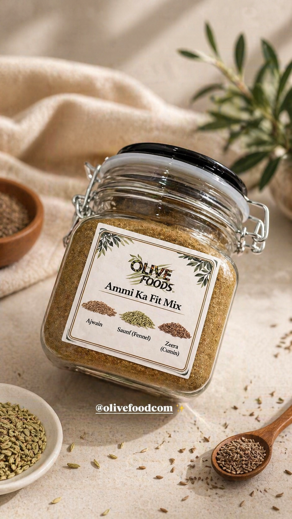 Ammi Ka Fit Mix premium 570gm